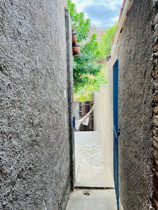 Casinha Flor, Vila Florescer, Centro Historico! 皮拉尼亚斯 外观 照片